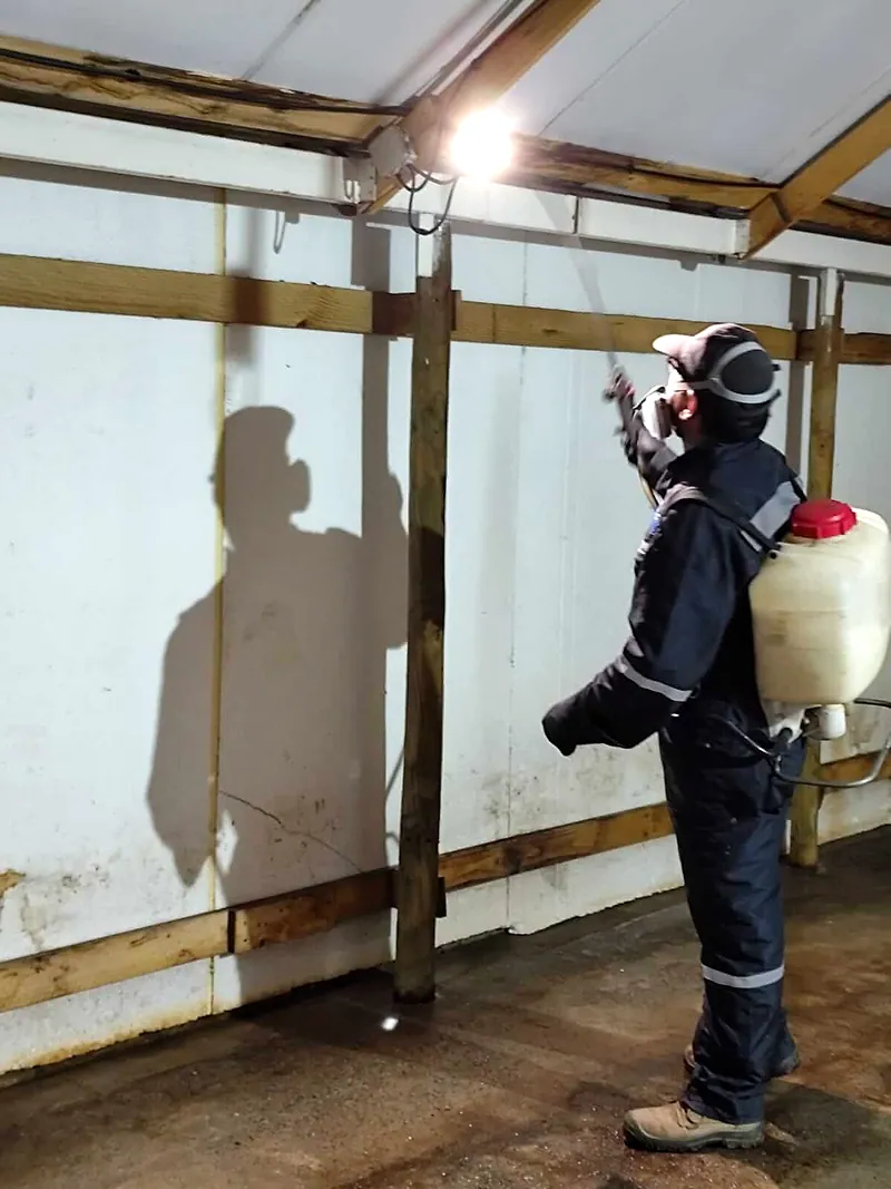 Técnico rocía insecticida hacia el techo de un galpón, iluminado por un foco de trabajo