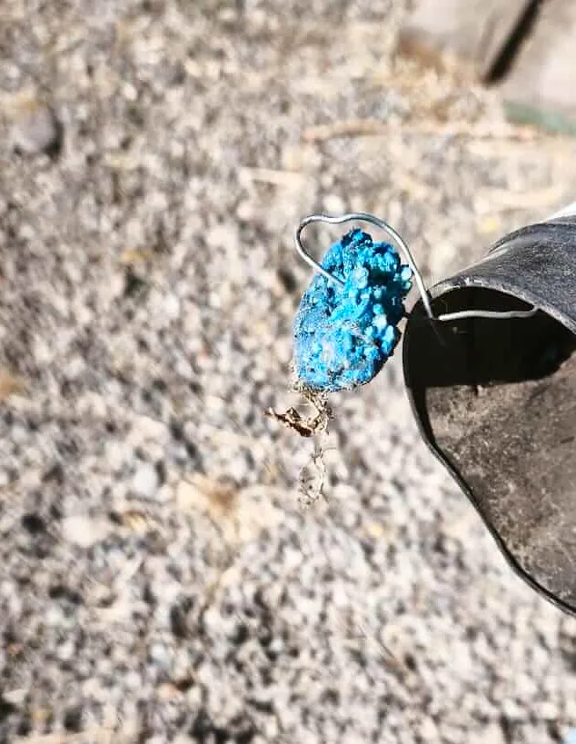 Bloque de cebo roído por ratones, colgado del gancho de una estación de cebo tipo tubo
