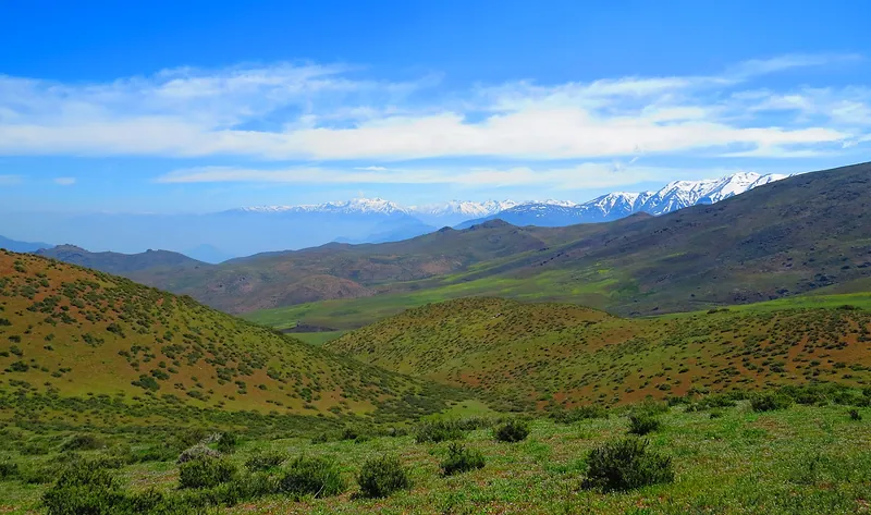 Cerros verdes en primavera en el sector rural del norte de Colina, con la cordillera nevada al fondo