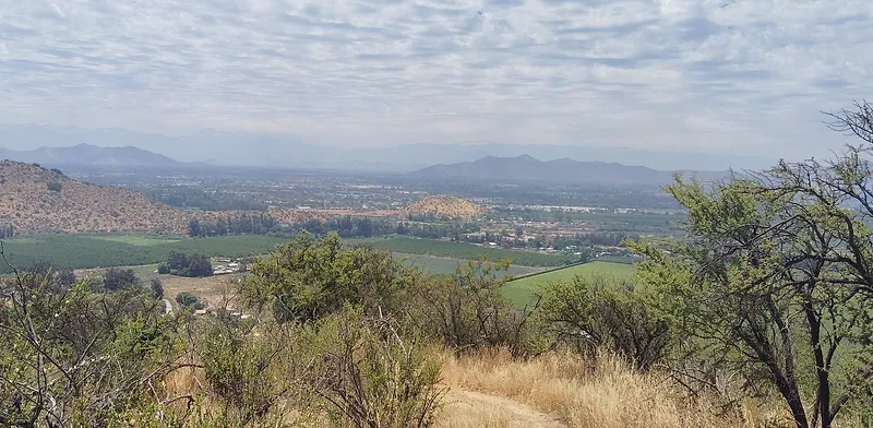 Valle de Peñaflor visto desde un cerro, con campos de cultivo y el cerro de la Virgen al centro