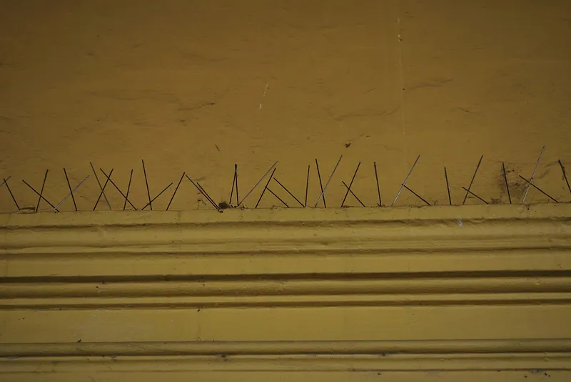 Pinchos antipalomas de acero instalados sobre la cornisa de un edificio