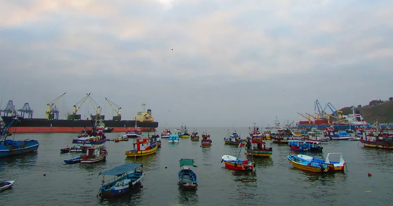 Botes de pescadores en la bahía de San Antonio, con las grúas del puerto al fondo