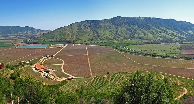 El valle de Colchagua visto desde un cerro de Santa Cruz: viñedos, caminos y cerros