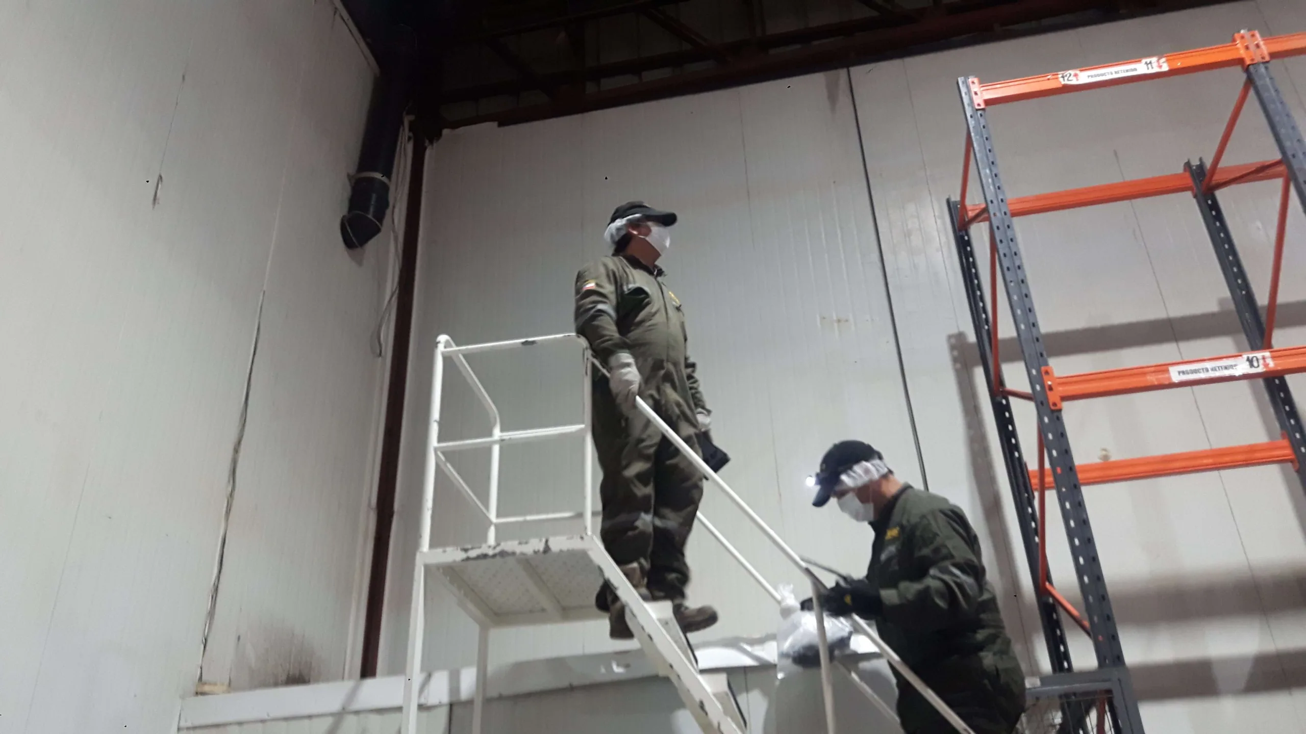 Control de aves y palomas en edificios de la Región Metropolitana