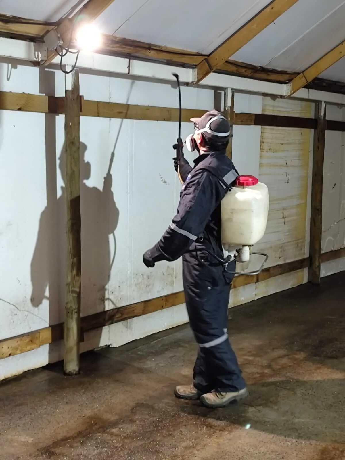 Fumigación y desinsectación en toda la Región Metropolitana